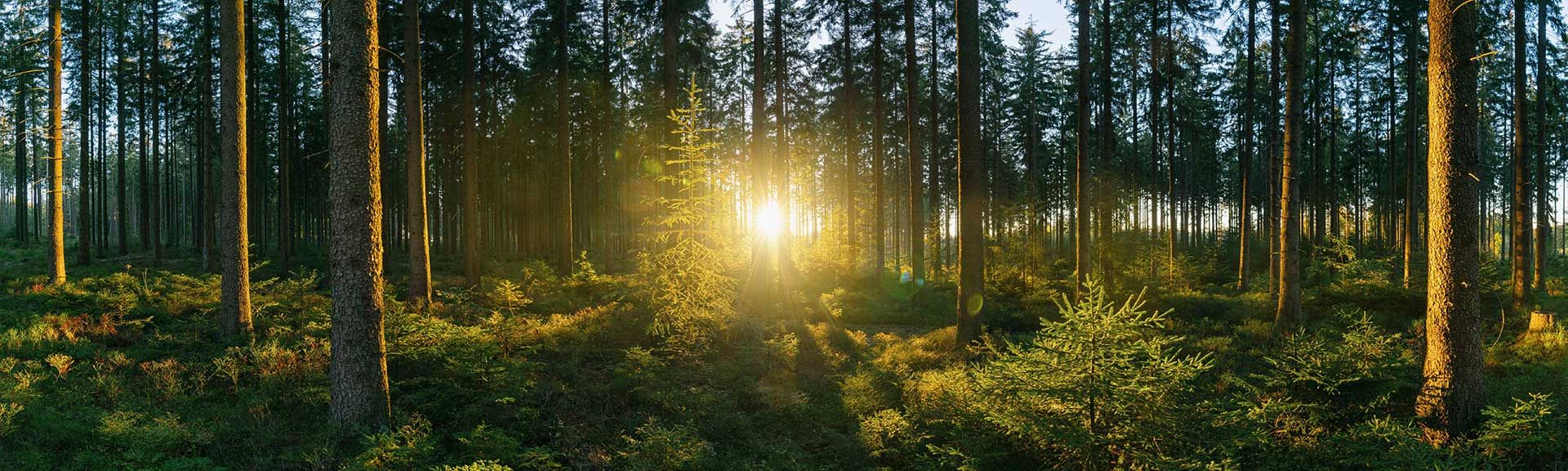 Naturlig tilnærming, uten bruk av medikamenter